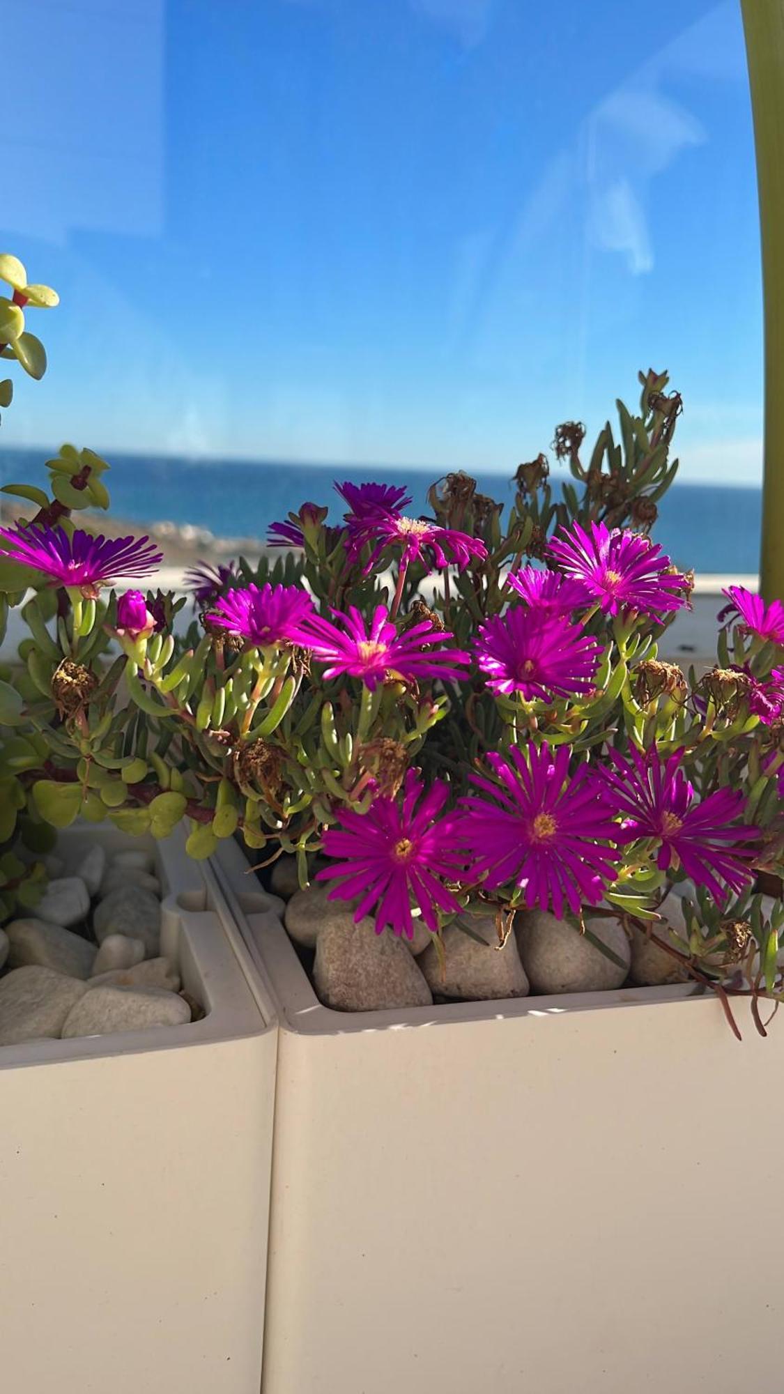 Apartmán Rincon Idilia Rincón de la Victoria Exteriér fotografie