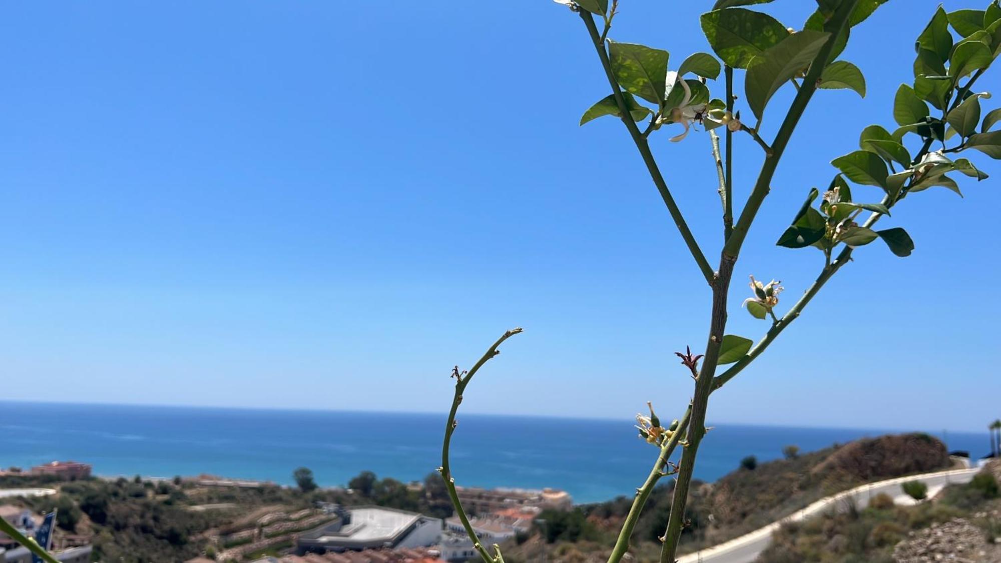 Apartmán Rincon Idilia Rincón de la Victoria Exteriér fotografie