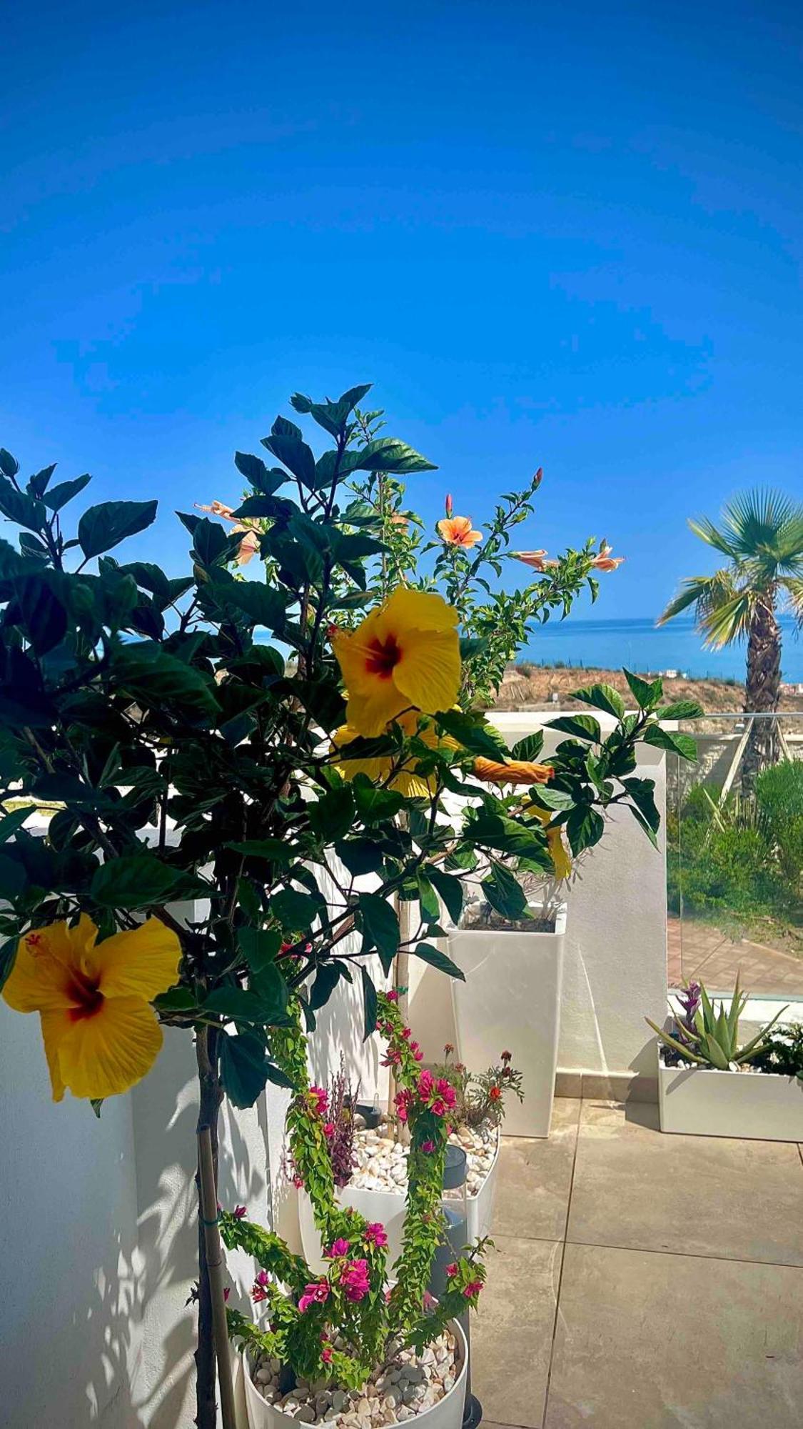 Apartmán Rincon Idilia Rincón de la Victoria Exteriér fotografie