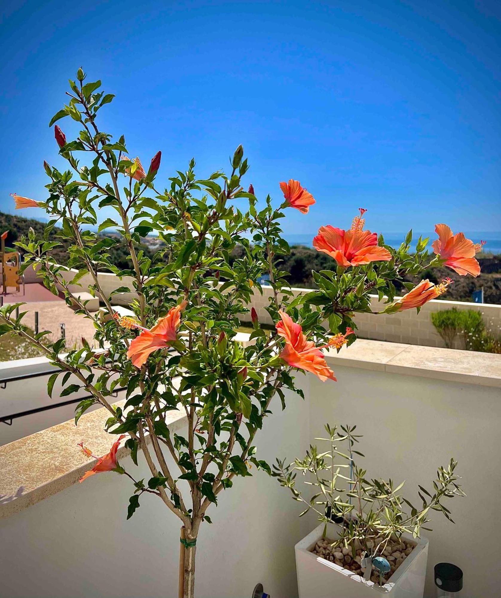 Apartmán Rincon Idilia Rincón de la Victoria Exteriér fotografie